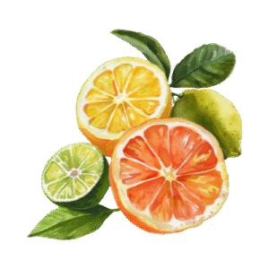 citrus graphic