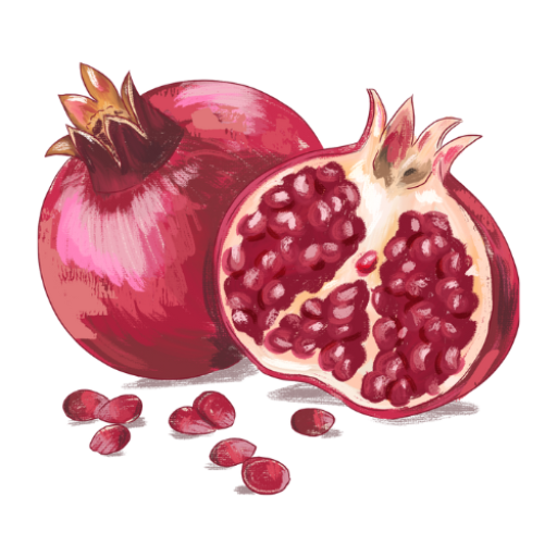 an illustration of halved pomegranates